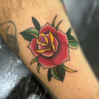 Rose traditional tattoo design.