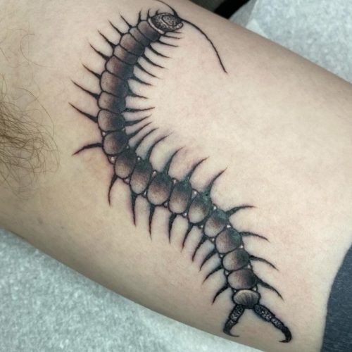 Caterpillar Tattoo Design