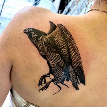 Realism Bird Tattoo Design