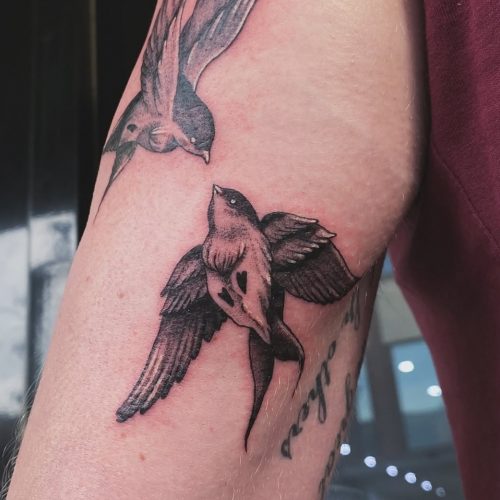 Blackwork bird tattoo