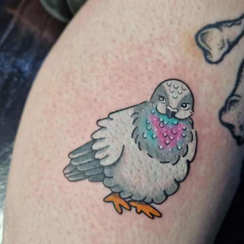 Colour bird tattoo.