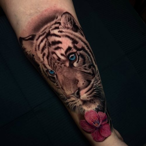 Realism tiger tattoo forearm.