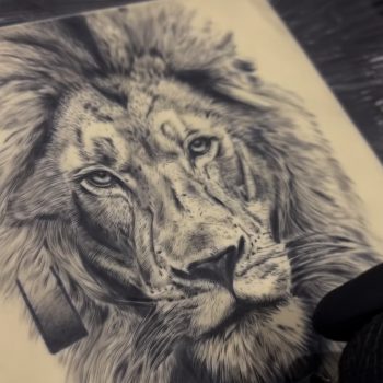 Fake skin lion tattoo
