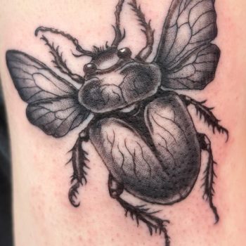 blackwork insect design tattoo
