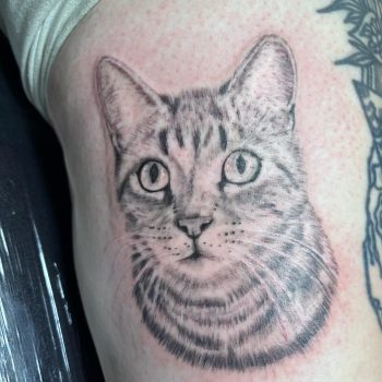 Realism Cat Tattoo